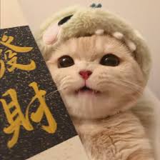 Ảnh đại diện người dùng Phạm Đức